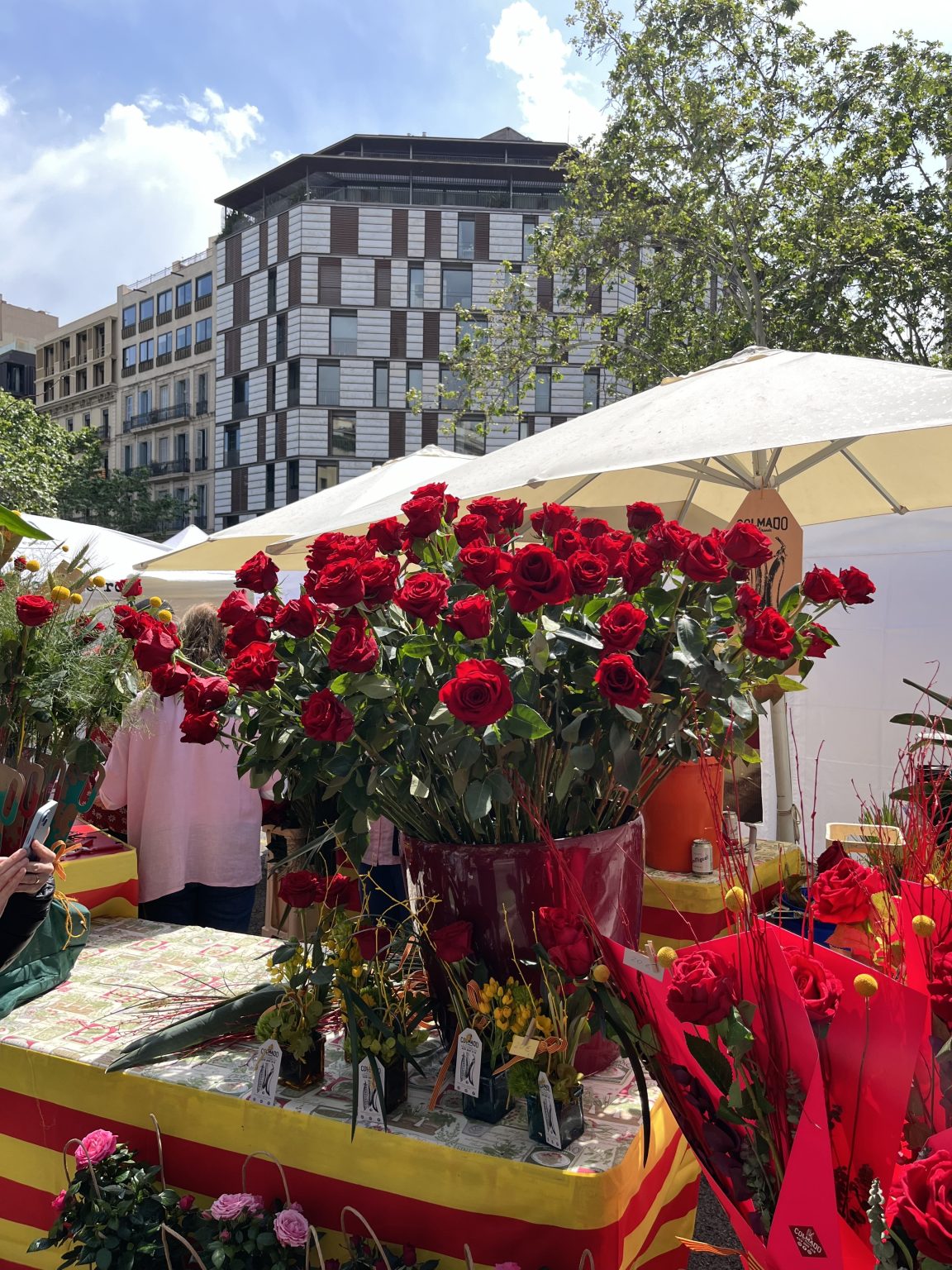 St Georges Roses Opinion: 'If only England celebrated St George's day like Barcelona'