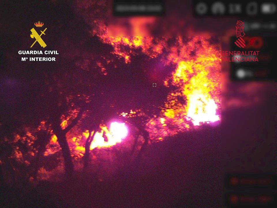 'Serial arsonist' accused of setting fire to an Alicante beauty spot 21 times is arrested