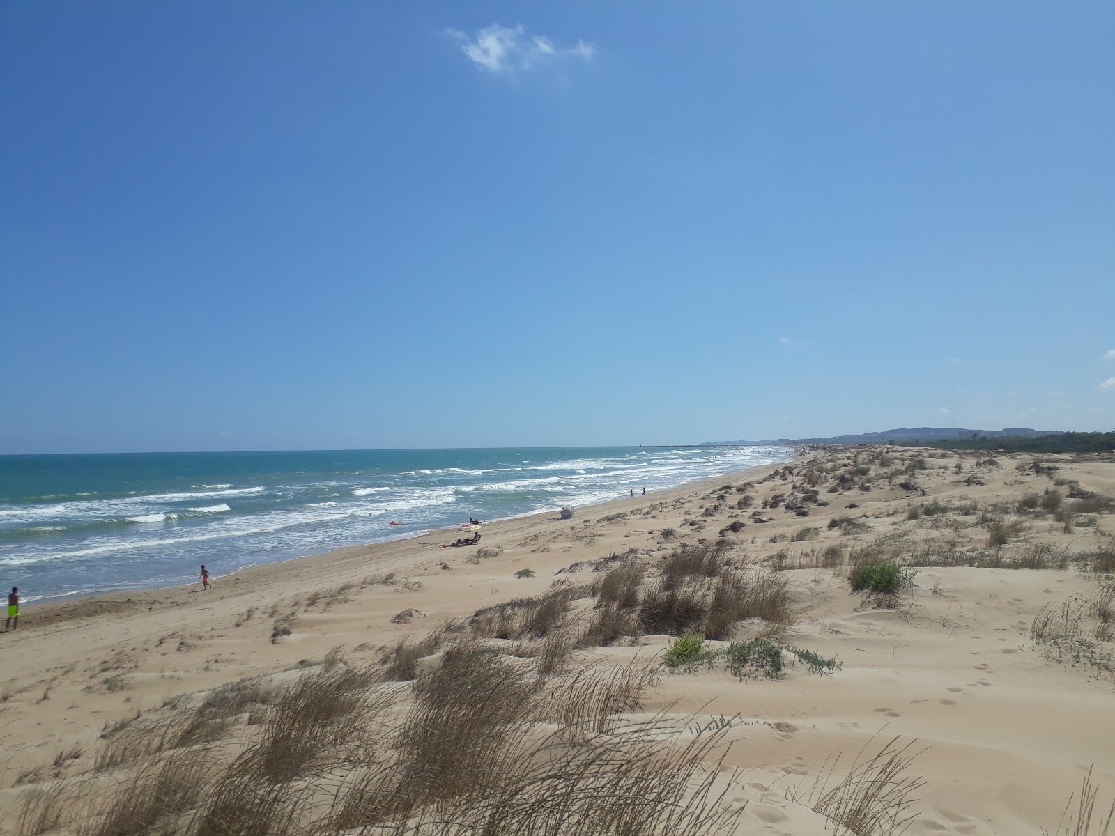 Body dressed in a wetsuit is found floating by a paddlesurfer off popular beach on Spain's Costa Blanca