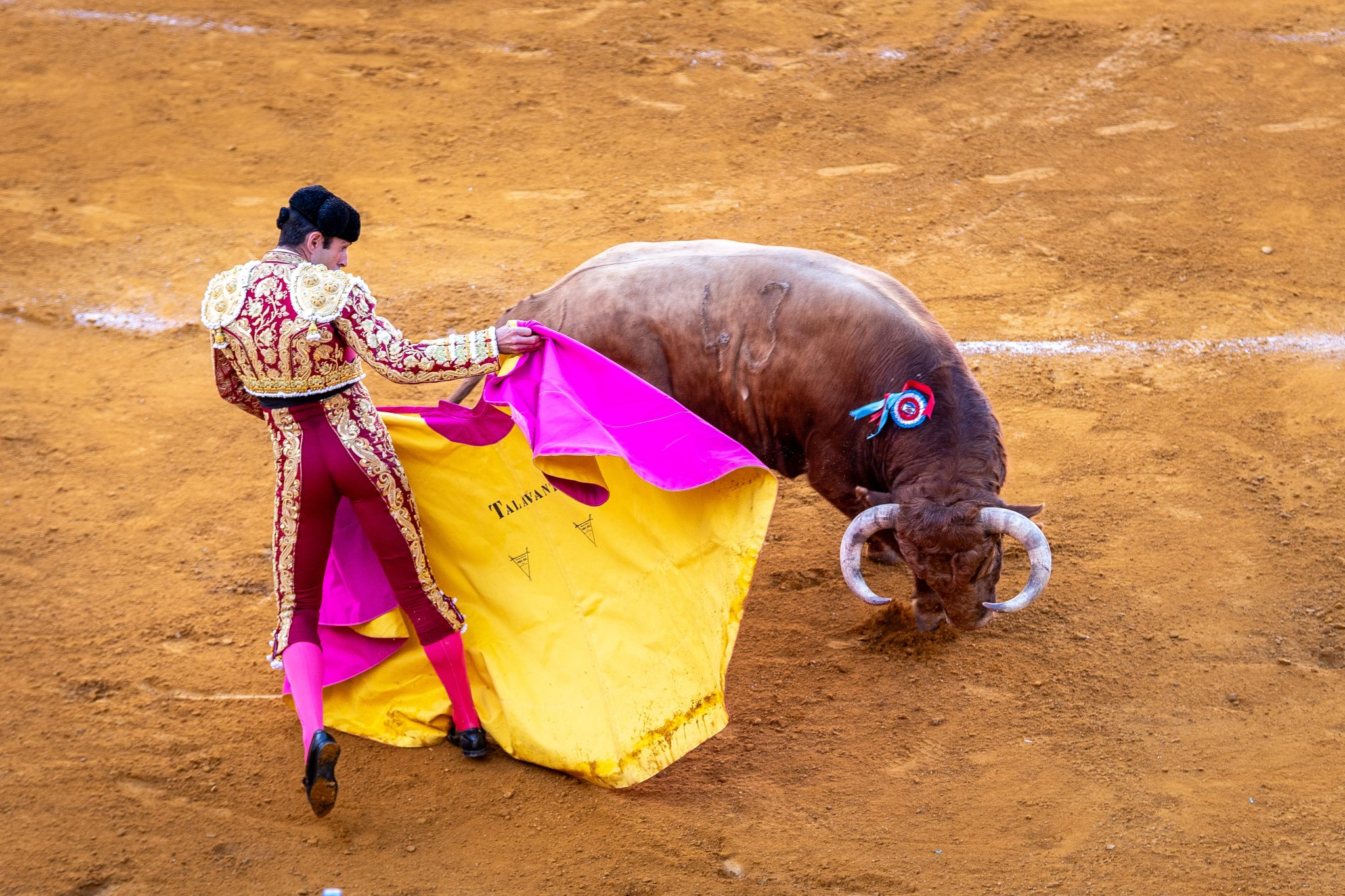 Bull gores woman to death in Spain after she 'accidentally stepped into