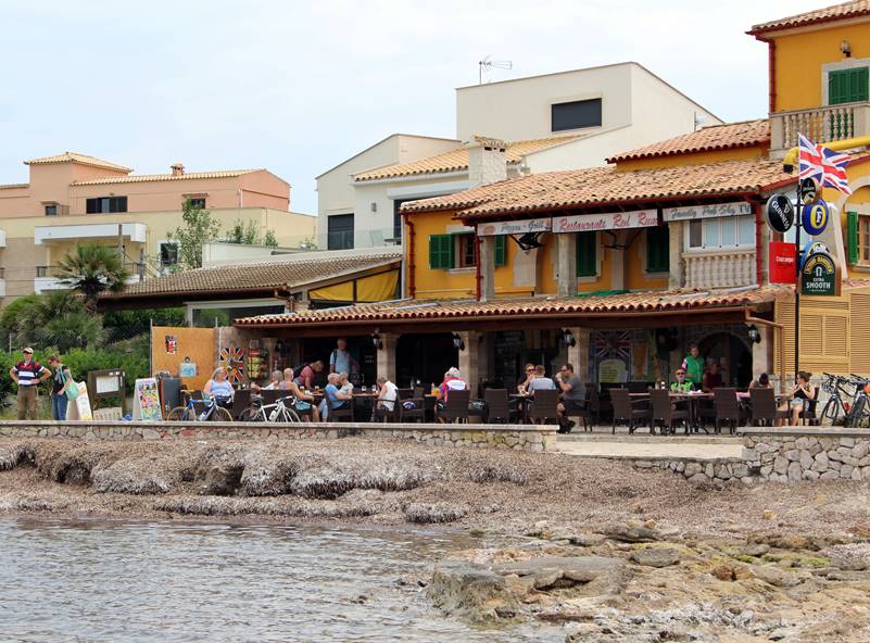 British tourist needed several stitches after border collie dog attacked her on Mallorca bar terrace