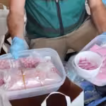 Police arrest 11 people and shut down two 'pink cocaine' labs supplying drugs to partygoers in Torrevieja