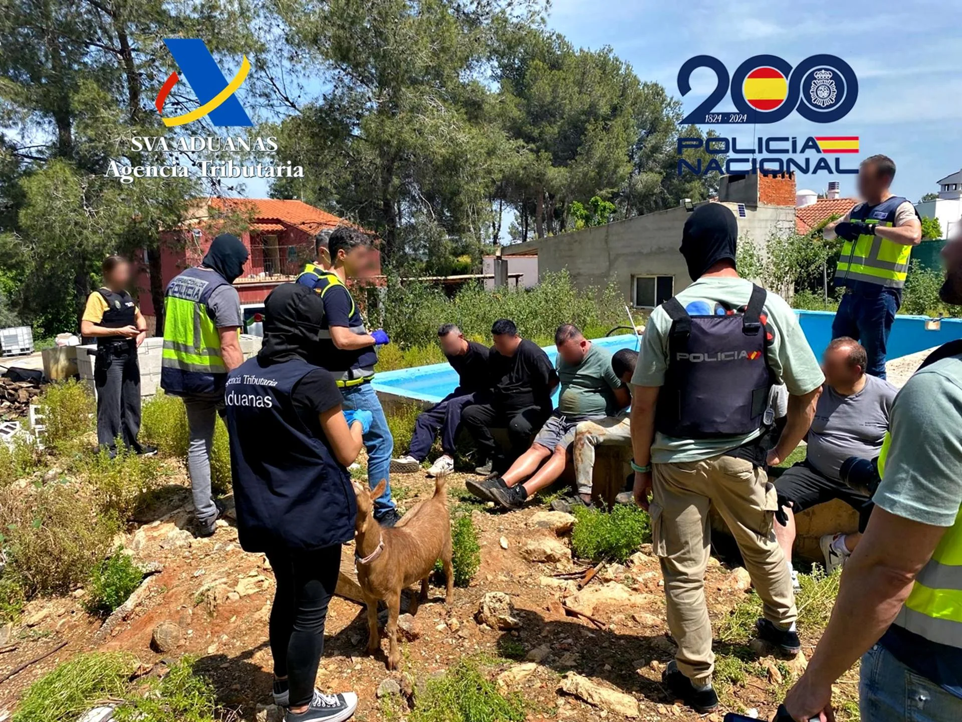 Police make mass arrests and raid drugs lab making up to 30 kilos of cocaine per day in Spain