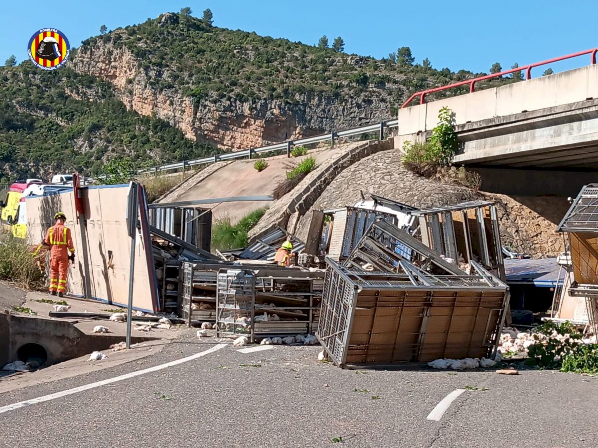 Real-life chicken run as poultry escape from cages after lorry crash in Valencia