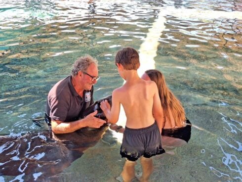 Benidorm sea lions provide therapy to vulnerable children and young people