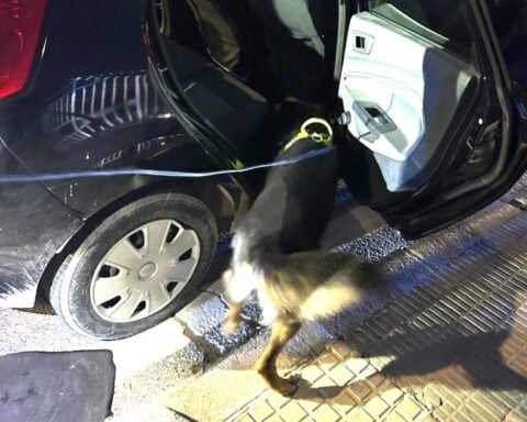 British couple arrested after police sniffer dog finds drugs in their car on Costa Blanca