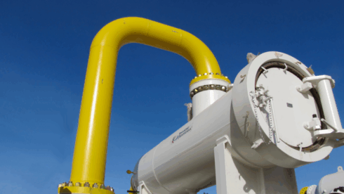 Endangered species and habitats 'threatened' by new hydrogen gas pipeline in Spain