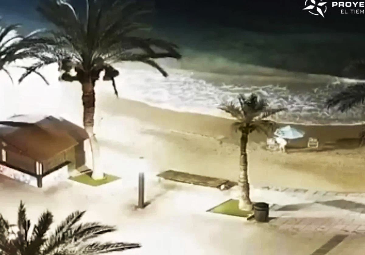 WATCH: Costa Blanca beach hogger caught on camera putting up umbrella at 5.36am
