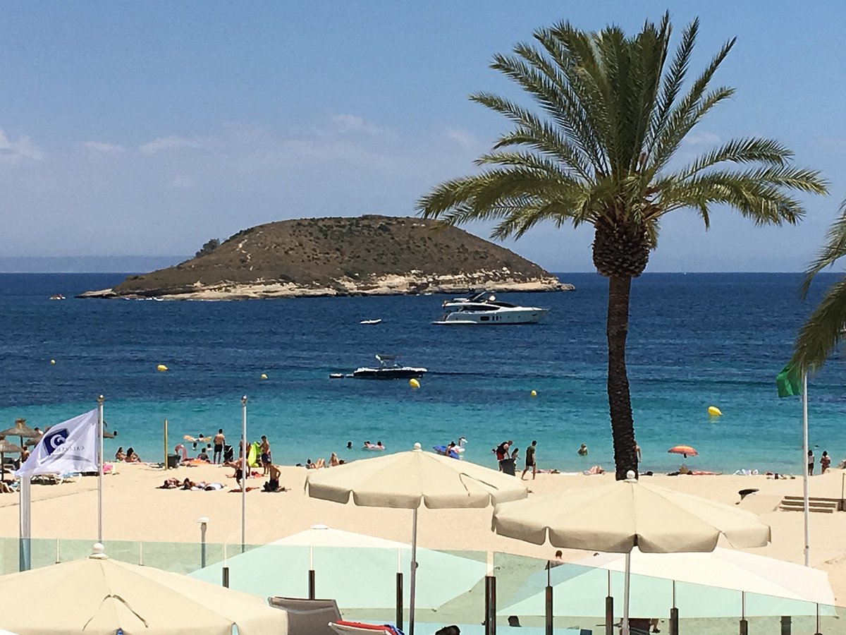 'Drunk' British tourist falls off boat and is seriously injured by propeller in Mallorca