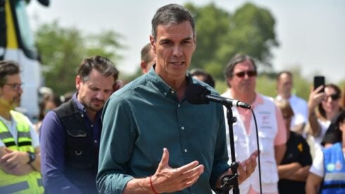 21 major wildfires still active in Spain as Pedro Sanchez promises 'disaster area' status
