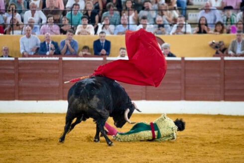 Morante de la Puebla, El Mundo