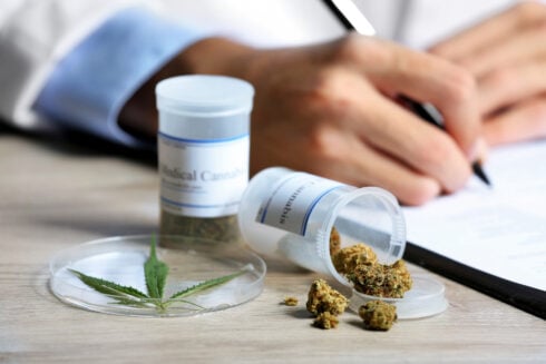 Government legalises use of medicinal cannabis in hospitals across Spain