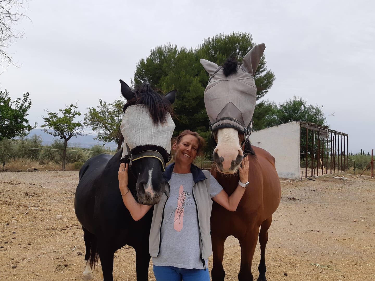EXCLUSIVE: Expat sanctuary owner steps in to save over a dozen horses facing slaughter after Malaga summarily banned tourist carriages in the city