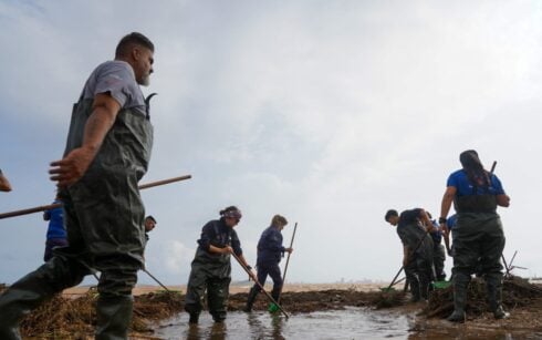 Tons of biomass removed from shores of Mar Menor lagoon as DANA Alice clean up continues in Murcia