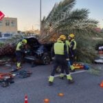 Motorist killed by falling palm tree smashing into his car on busy Costa Blanca road