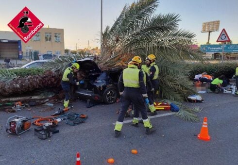 Motorist killed by falling palm tree smashing into his car on busy Costa Blanca road
