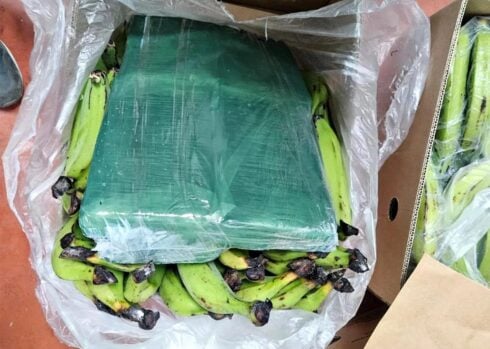 WATCH: Police seize two tons of cocaine in Valencia shipped in from Ecuador- hidden in fruit crates