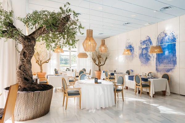 Cupra - Solus 19th feb 2026 - Olive Press News Spain