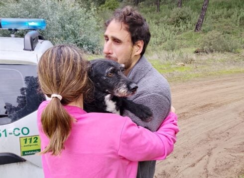 Happy ending after missing dog in Spain's Adamuz train disaster is found safe and sound four days later