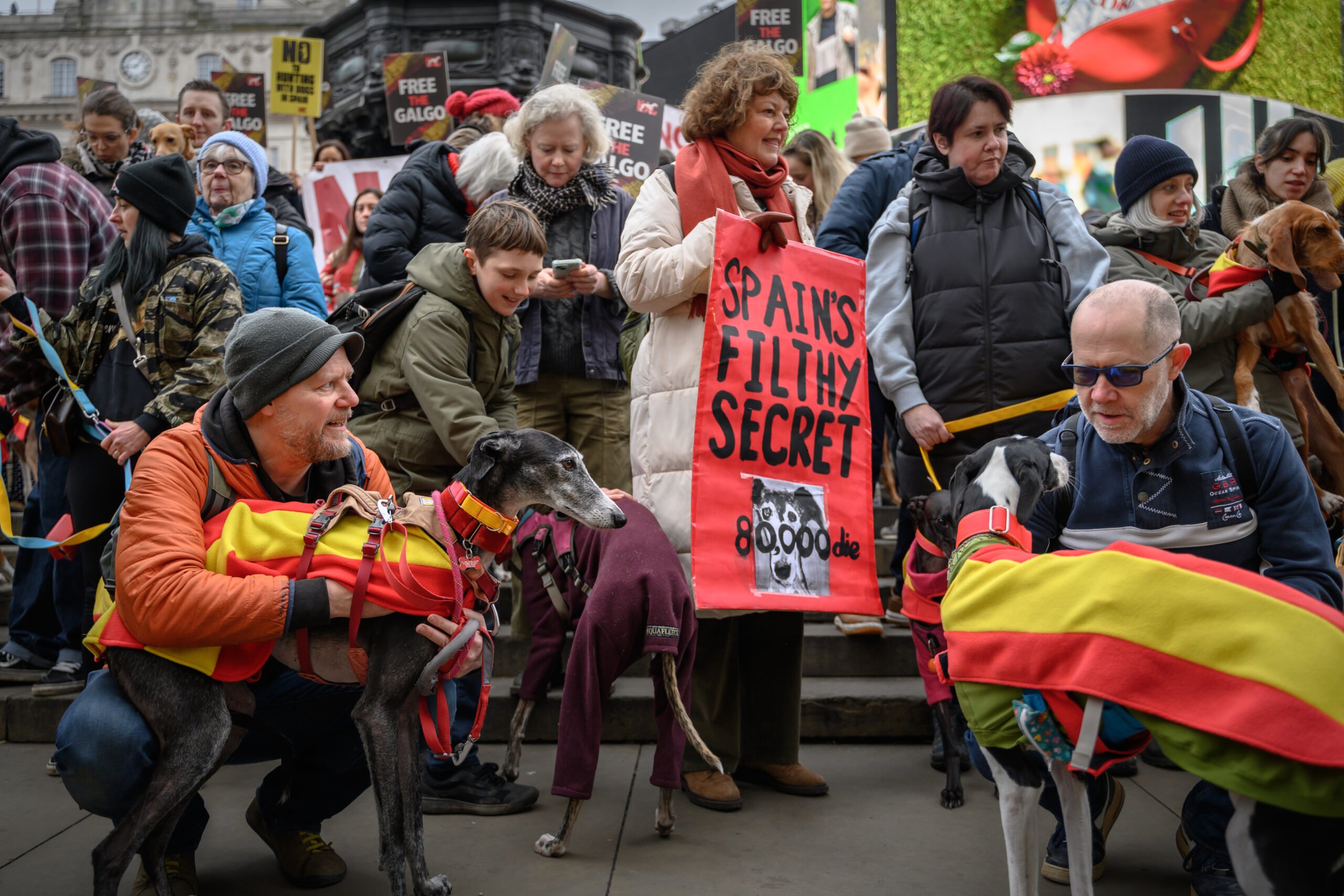 EXCLUSIVE: Hundreds of Brits to march for an end to Spanish hunting dog cruelty
