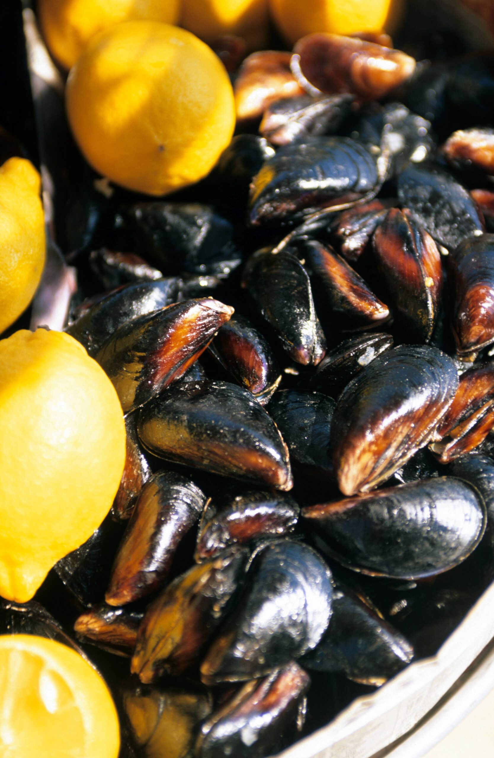 Secret ‘superfood’ boosts protein intake, combats anaemia and projects your heart – and its cheap and native to Spain