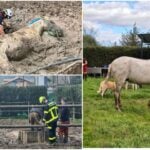 Credit: Bomberos de Cadiz