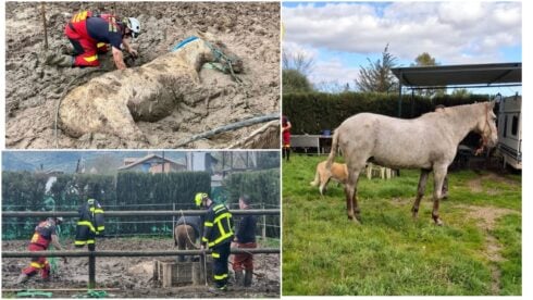 Credit: Bomberos de Cadiz