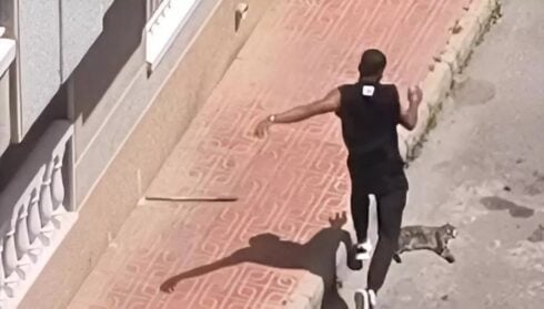 Horror in Torrevieja as drugged up man 'smashes ex-partner’s cat to death against a wall' as angry mob forms to confront him