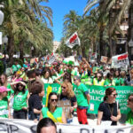 Teachers overwhelmingly vote to 'suspend' month-long strike with just a few days remaining in Valencia's school year