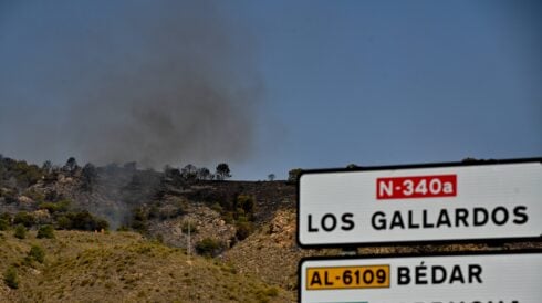 Death toll from horrific Almeria wildfire rises to 13 after British woman succumbs to injuries in hospital