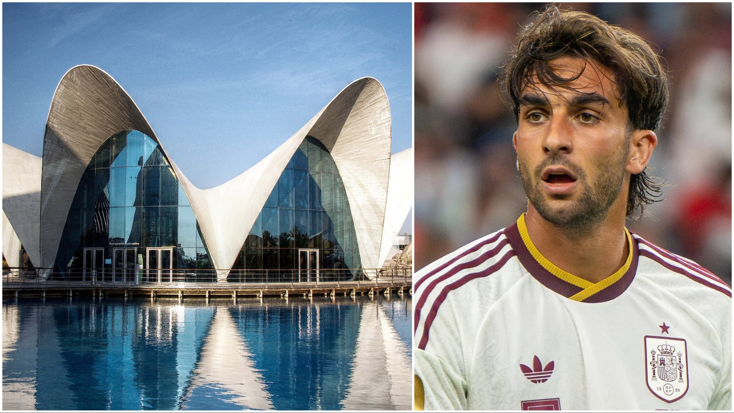 Valencia’s Oceanografic aquarium names shark after Spain’s World Cup hero Ferran Torres