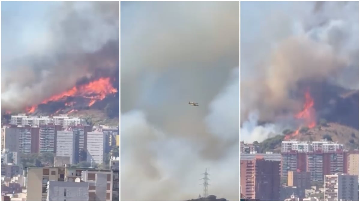 The Olive Press: Barcelona wildfire contained after dozens of people were forced to evacuate homes in city outskirts