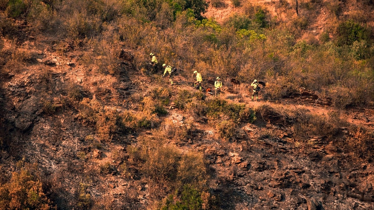 The Olive Press: Huelva wildfire stabilised after two weeks of firefighting – 33,000 hectares scorched in one of Andalucia’s biggest-ever blazes