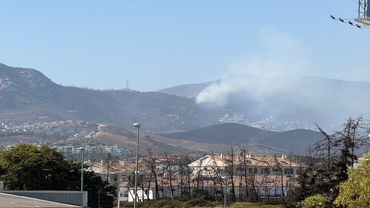 The Olive Press: Alarm as Benahavis wildfire reignites on the Costa del Sol amid heavy winds and billowing smoke