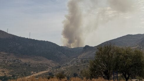 A major wildfire erupted in Igualeja, forcing dozens to evacuate their homes.