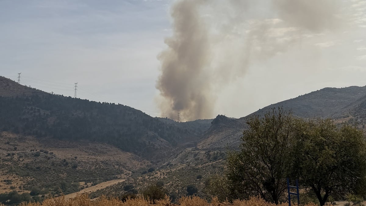 The Olive Press: Fast-moving wildfire near Costa del Sol finally stabilised after dozens of locals forced to evacuate