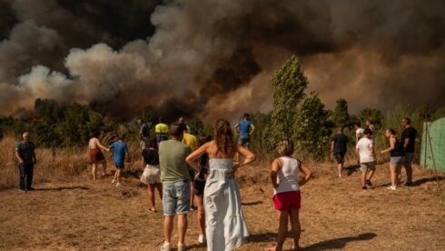 Incendios wwf 02