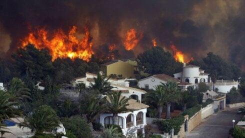 Wildfire