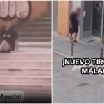 malaga shooting swedish narcos