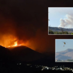 Wildfire breaks out in a national park on the Costa del Sol