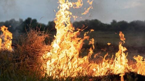 A wildfire
